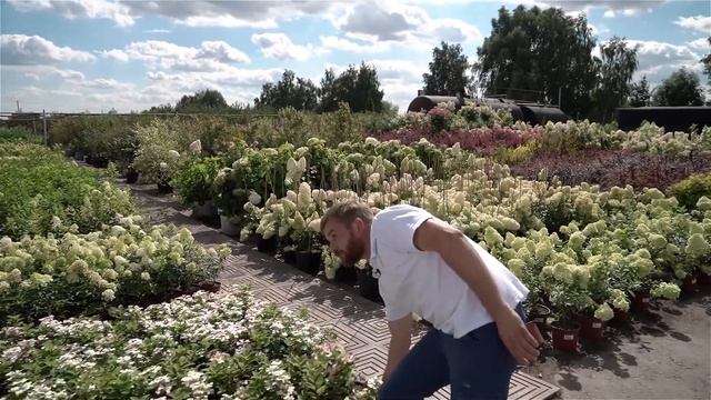 Питомник растений "ПОИСК"