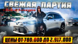 COROLLA CROSS / FIT/ FIELDER / IMPREZA / SHARAN / JUKE / TIGUAN / FREED / ЦЕНЫ В ОКТЯБРЕ 2024