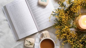 6561362-hd_1920_1080_30fps