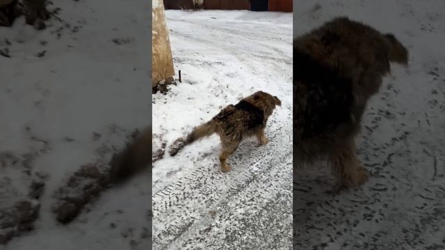 Разговоры по душам 😅