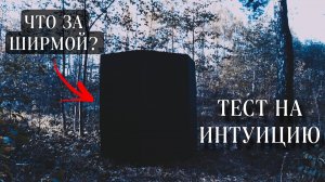 ЧТО СКРЫВАЕТСЯ ЗА ШИРМОЙ? | Смотри проект "Экстрасенсы в сети" с 9 ноября в 18:00 по Москве!