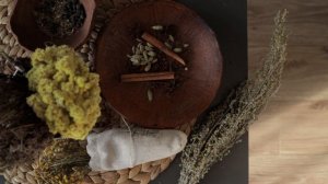 6956368-hd_1920_1080_25fps