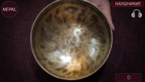 pl D 298 15,5