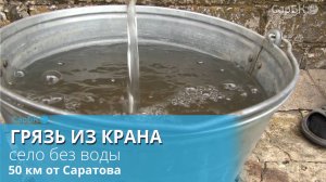 Жителям села под Саратовом предлагают пить из одной речки с коровами
