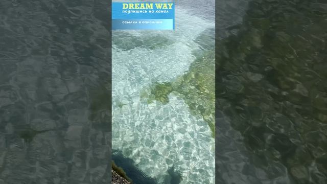 Это Казахтан, да #dreamway #путешествие #travel #отдых #туризм #shortsvideo #shorts #Казахстан
