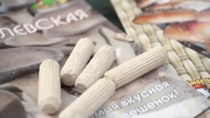 Как вырастить грибы на даче. Как вырастить грибы из мицелия.