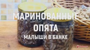 Маринованные опята, малыши в банке - рецепт супер вкусных грибов