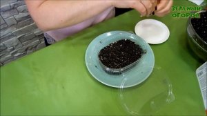 Посев КЛУБНИКИ под СНЕГ! Советы от ЗЕЛЕНОГО ОГОРОДА!