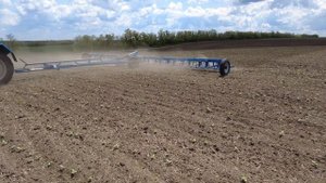 Борона пружинная БПП-12 - сплошная повсходовая обработка подсолнечника.