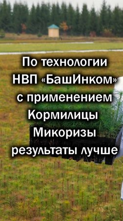 Это стоит смотреть! Российская микориза против иностранных... Башинком. О. Горбачева.