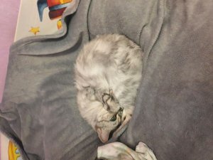 снимаю крутой видос