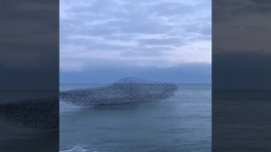 Обида на самого себя.