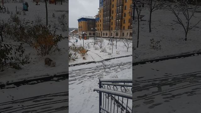 Когда много снега в Ноябре❄️❤️ 02.11.24 Подмосковье🥰