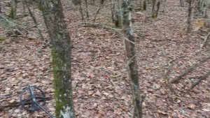 Коп в Крыму 2023 / Античные и Римские монеты / нашли стоянку периода Крымской войны