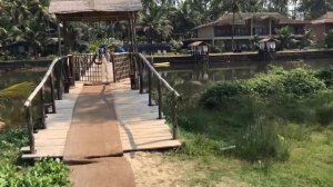 Riva Beach Resort, Северный Гоа, Мандрем. Обзор отеля.