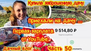 Купила заброшенную дачу/ Я вернулась на дачу через месяц/Осенняя дача/Первая зарплата на YouTube