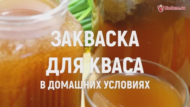 Закваска для кваса в домашних условиях - самый простой и быстрый рецепт!