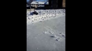 Wallwalker - Space Dance Version