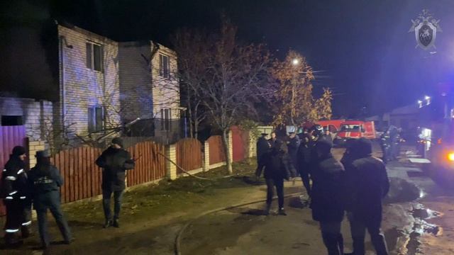 В Брянске мать выбралась из горящего дома, а двое её детей и сожитель погибли смотреть онлайн