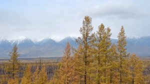 Водолазы РЖД едут на Дальний Восток