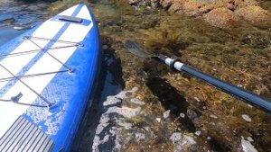 Фиолент,грот Дианы Севастополь на сапе по морю подводная сьёмка сап море Крым Travel