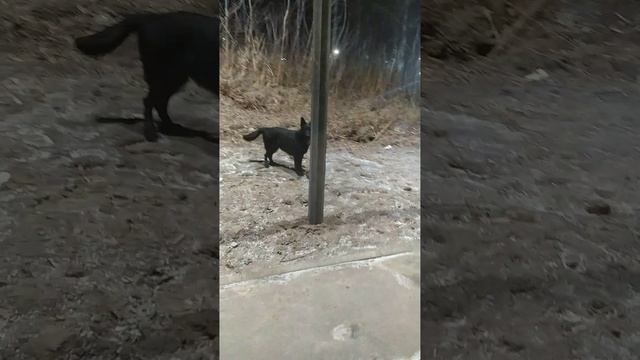 VID-20241107-WA0022.mp4 смотреть онлайн