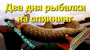 Рыбалка на спиннинг в ноябре 2