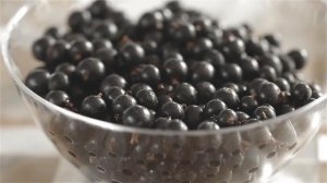 Какая смородина самая вкусная? Подводим итоги VII этапа дегустационного марафона Агрофирмы ПОИСК.
