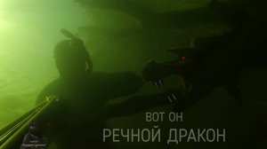 Подводная охота и Встреча с речным драконом Бывает же такое