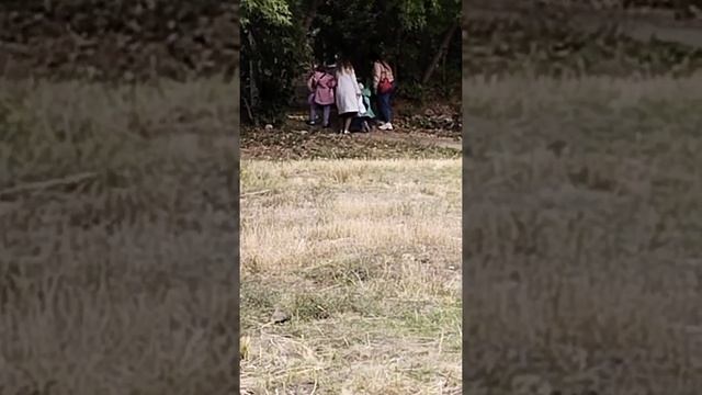Пьяную малолетку в лесу. Пьяную малолетку в лесу