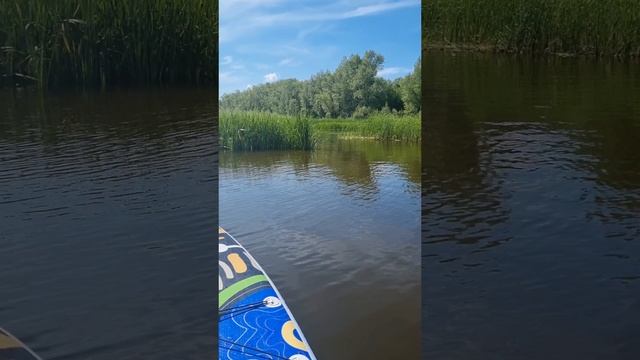 #волгаматушка #волга #заплывнасапах #самара #отдыхвроссии  #сапборд