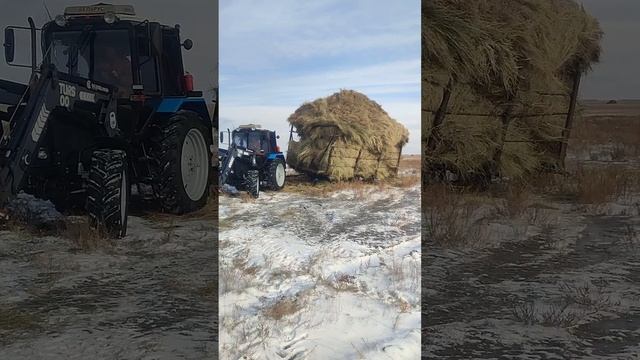 Посадил арбу с сеном в солонцах. смотреть онлайн