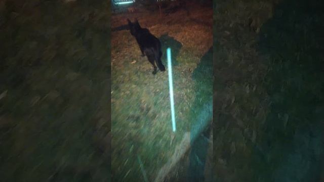 VID-20241107-WA0016.mp4 смотреть онлайн