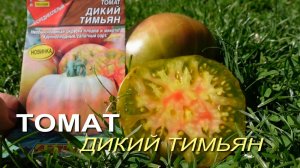 Томат ДИКИЙ ТИМЬЯН. Обзор сортов ТОМАТОВ!