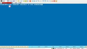 11 PNR optional elements