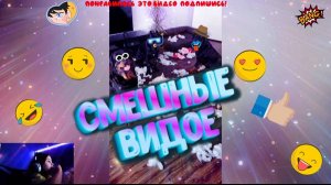 🤣 СМОТРЮ смешное🤣  ВИДЕО  про😻 Кошек и собак!!!!!