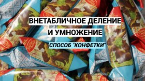 Внетабличное умножение и деление. Способ "КОНФЕТА"