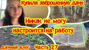 КУПИЛА ЗАБРОШЕННУЮ ДАЧУ/НА МЕНЯ НАПАЛА ЛЕНЬ/МОЙ ОГОРОД/ПРОПОЛКА СОРНЯКОВ/В СИБИРИ