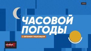 Часовой погоды | 8 ноября 2024 года