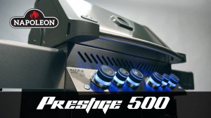 Обзор газового гриля Napoleon Prestige P500