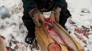 КАК разделать огромную ЩУКУ за 5 минут