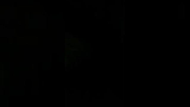 Врио губернатора вмешался в судьбу медведя, 2,5 месяца гуляющего по ХМАО смотреть онлайн