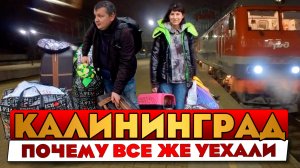 Почему уехали из Калининграда? Новые правила ЕС провоза животных. Куда мы направляемся?