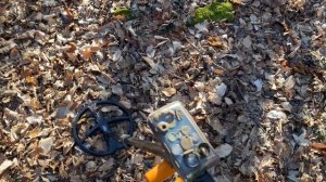 Коп в Крыму 2023 / находки времён Золотой Орды / монеты, перстень