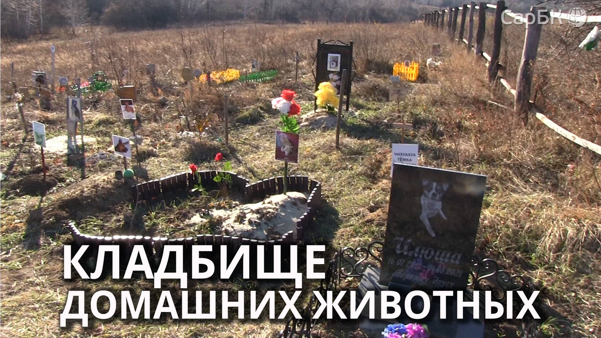 Кладбище домашних животных