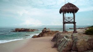 10042943-hd_1920_1080_24fps