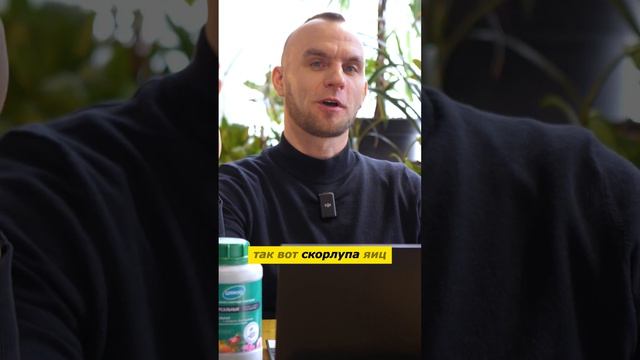 Яичная скорлупа в огороде и компосте как удобрение #органическоеудобрение #урожай #компост