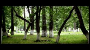 Артёмовский город