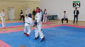 Соревнования по тхэквондо на Кубок Черемшана