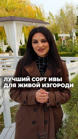 КАКОЙ САМЫЙ ЛУЧШИЙ СОРТ ИВЫ ДЛЯ ЖИВОЙ ИЗГОРОДИ?! ОТВЕТ НАЙДЕН.